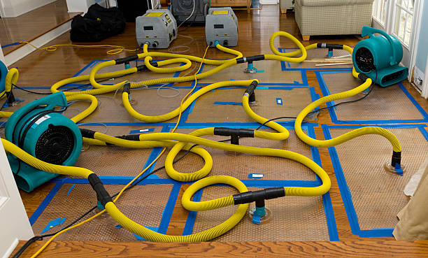Professional Storm Water Damage Restoration technician working in Russellville, AR